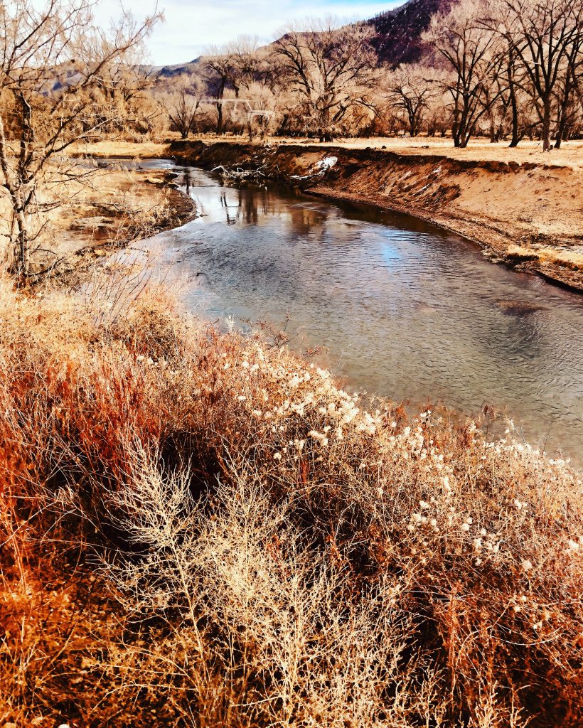 flatland, Animas River